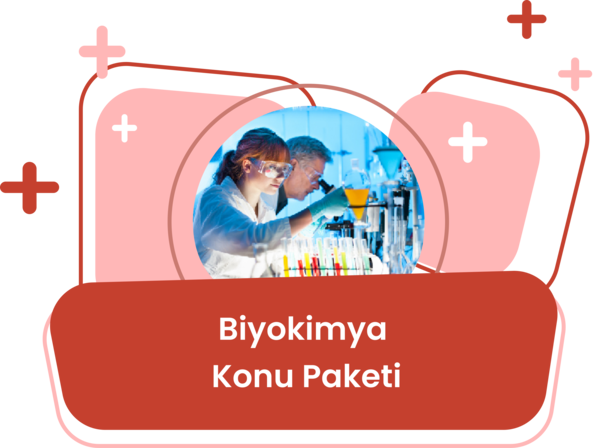 Biyokimya Konu Eğitim Paketi / Berk Us