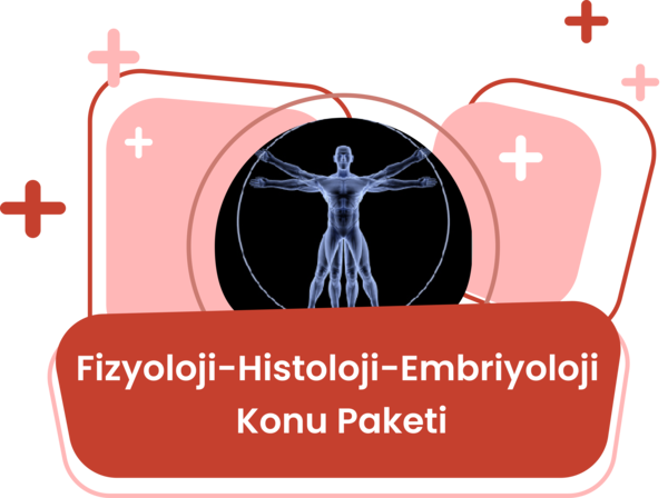 Fizyoloji Konu Eğitim Paketi / Tuncer Demir