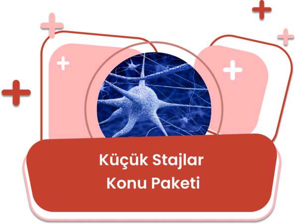 Küçük Stajlar Konu Eğitim Paketi / Kenan Gültekin