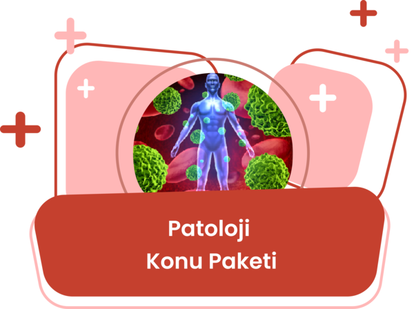 Patoloji Konu Eğitim Paketi / Mehmet Esen
