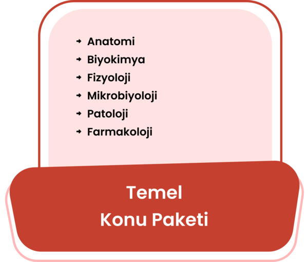 Temel Bilimler Konu Eğitim Paketi