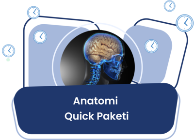 Anatomi Quick Eğitim Paketi / Erdinç Tunç