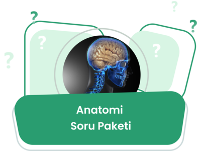 Anatomi Soru Eğitim Paketi / Erdinç Tunç