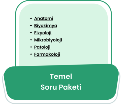Temel Bilimler Soru Eğitim Paketi