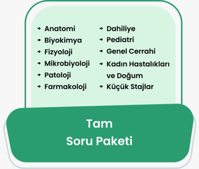Tüm Branşlar Soru Eğitim Paketi