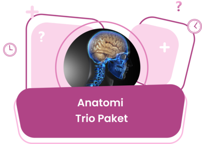 Anatomi Trio Eğitim Paketi / Erdinç Tunç